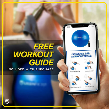 Exercise Ball - Antiburst Swiss Balance Ball W/ Pump - Fitness Ball Chair for Office, Home Gym - Silver, 55CM